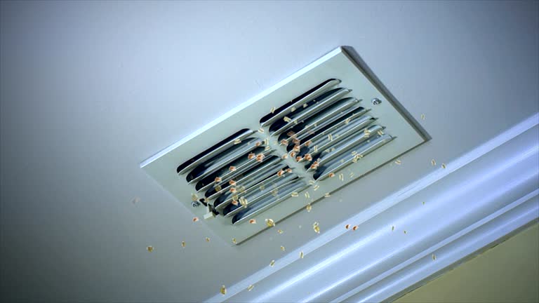 Professional Airduct Cleaning in Piney Mountain, VA