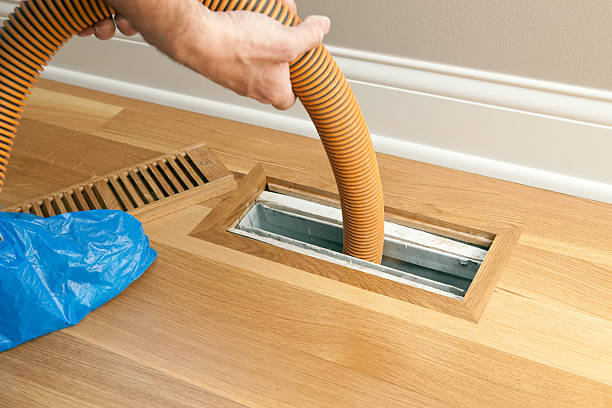 Best Professional Duct Cleaning Services  in Piney Mountain, VA